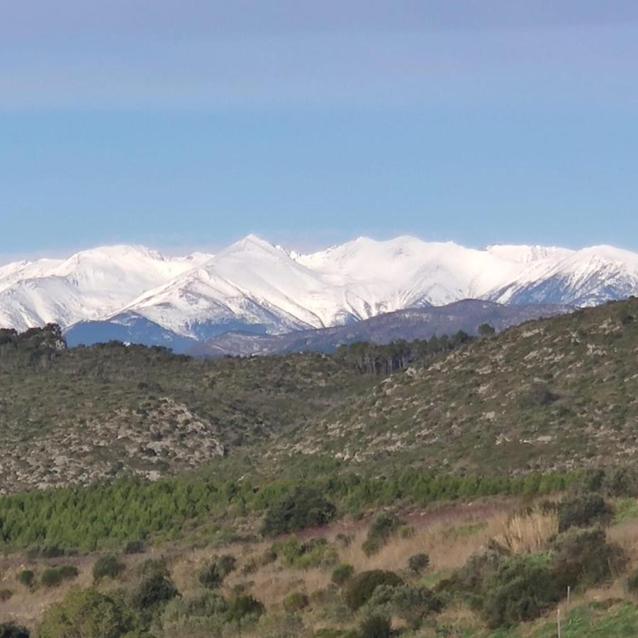 Casa Rural Cal Fuster Experience Terrades 외부 사진